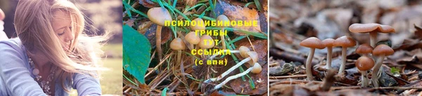 мет Нефтекумск