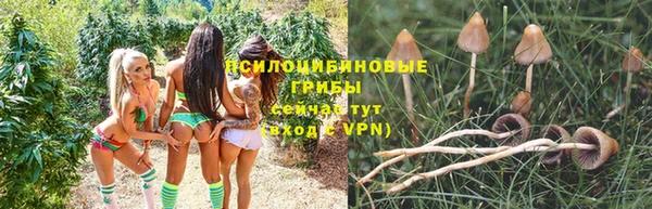 стаф Наволоки