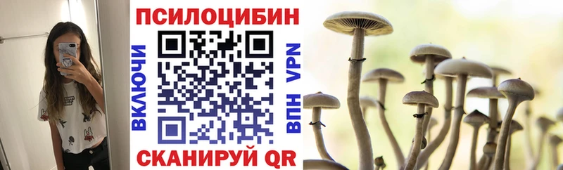 закладка  Армавир  Псилоцибиновые грибы Magic Shrooms 