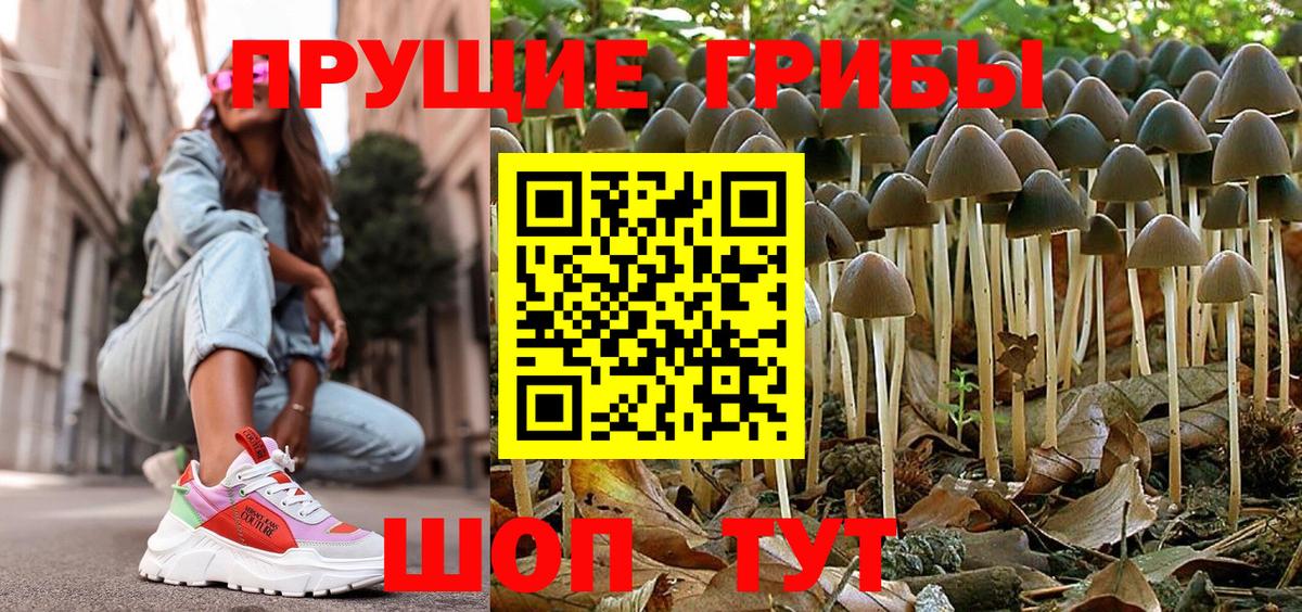 Псилоцибиновые грибы ЛСД  Вход с VPN  Армавир 