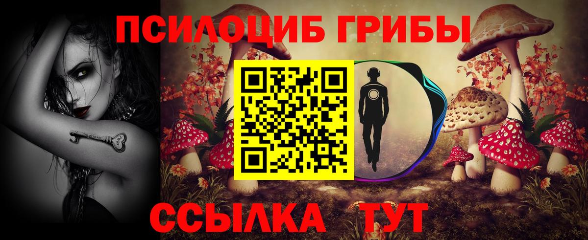 Псилоцибиновые грибы GOLDEN TEACHER Армавир