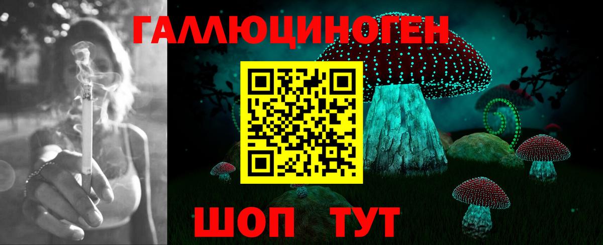 Армавир  Галлюциногенные грибы прущие грибы  Вход с VPN 