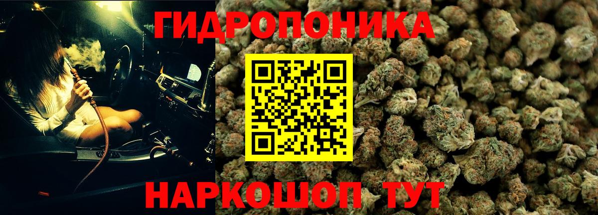 Бошки Шишки марихуана  Каннабис AK-47  Конопля тримм  Вход с VPN  Армавир  Бошки Шишки White Widow 
